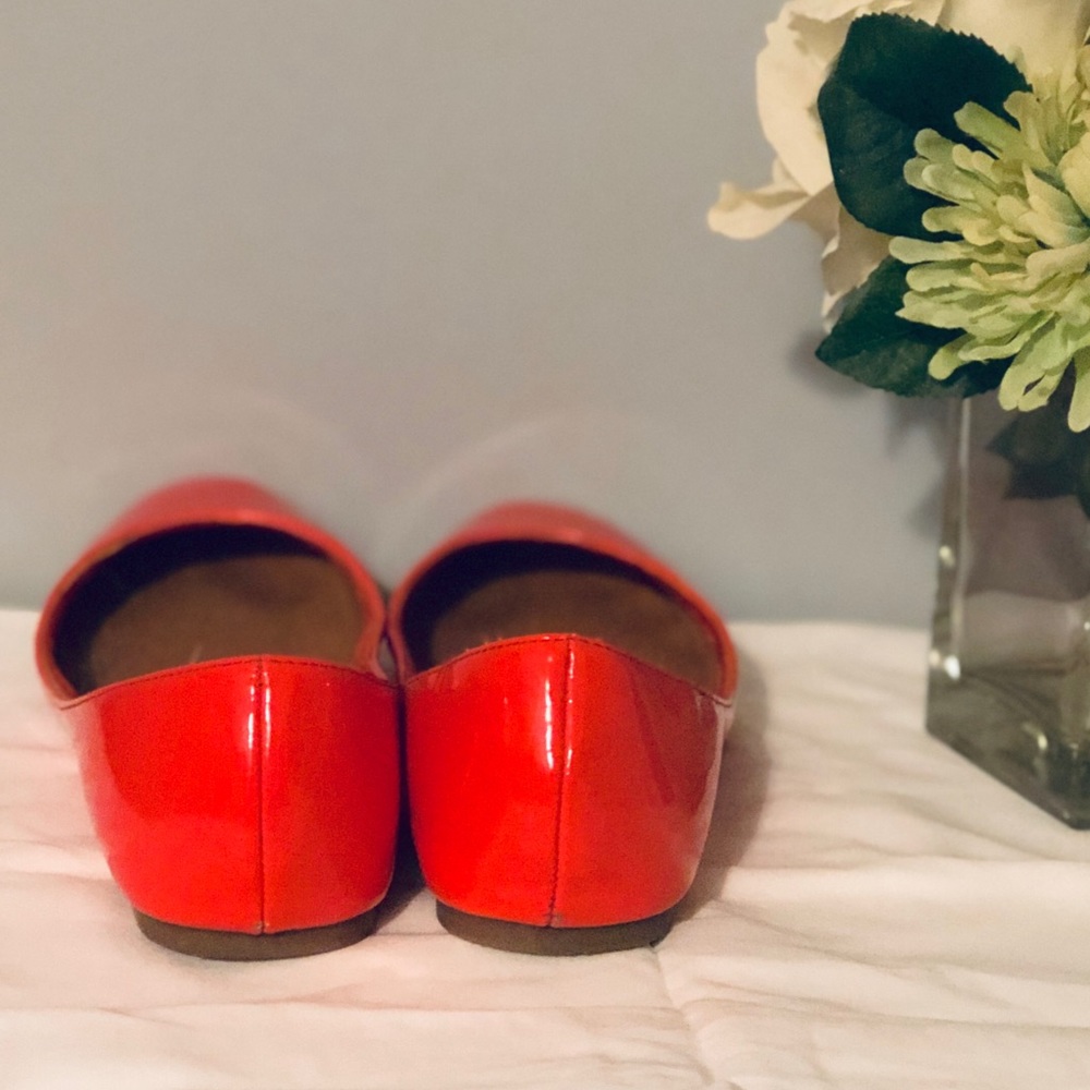 Coral flats - Picture 2 of 4